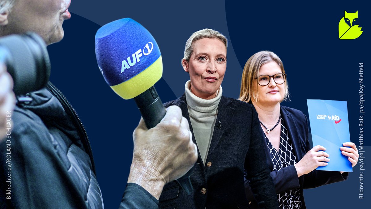 Im Wahlkampf setzt die AfD auf Präsenz beim österreichischen Verschwörungsmedium AUF1. 