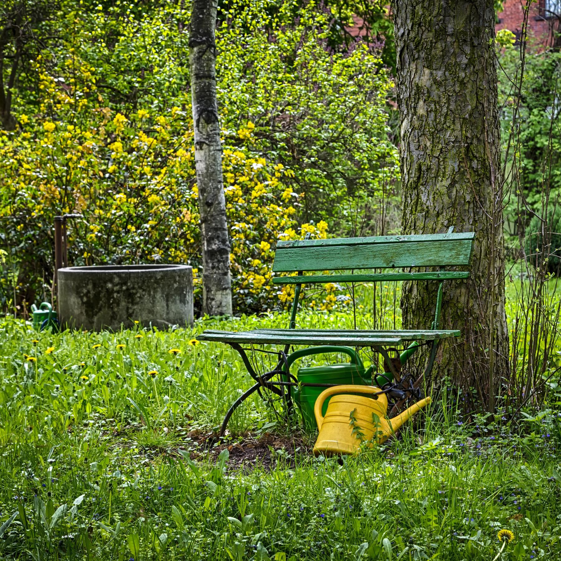 Garten extrem - Wie pflanzt man für Klimawandel-Bedingungen?