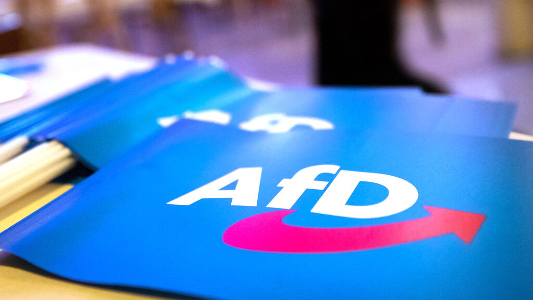 AfD im Wahlkampf