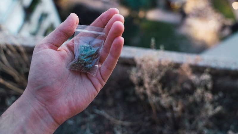 Symbolbild: Eine Plastiktüte mit Marihuana liegt auf einer geöffneten Hand.