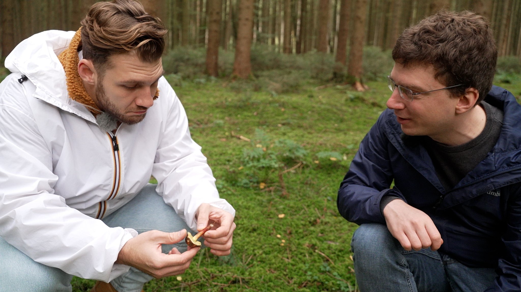 BR-Korrespondent Karl Spannenberger prüft im Wald, ob es sich bei dem Pilz in seiner Hand um einen essbaren Pilz handelt. Neben ihm: Pilzexperte Dennis Regul.