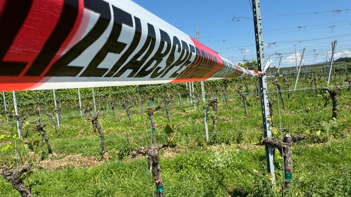 Mord am Bodensee: Ermittler nehmen zwei Tatverdächtige fest