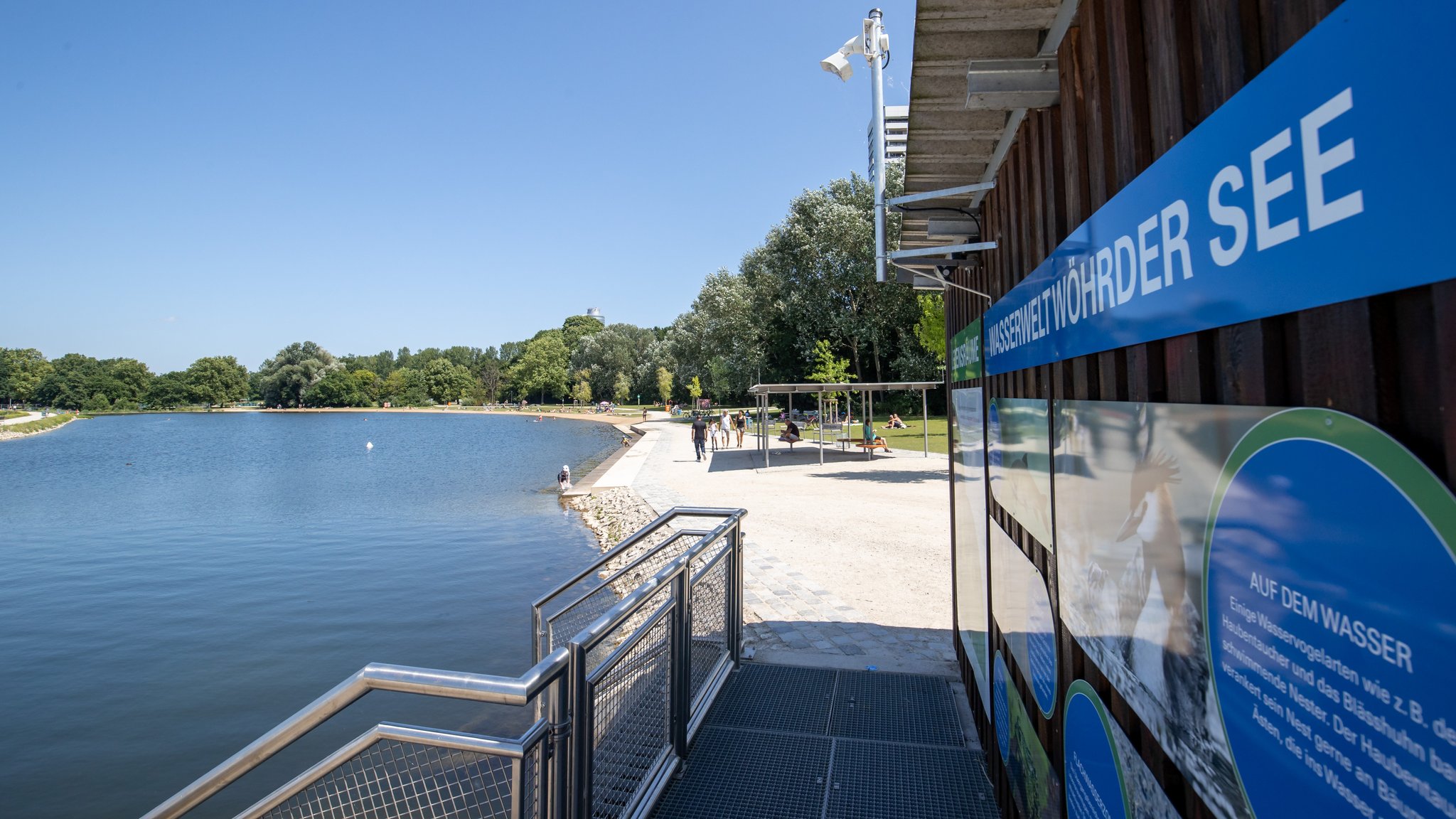 Reinspringen oder nicht? Was beim Wildbaden zu beachten ist