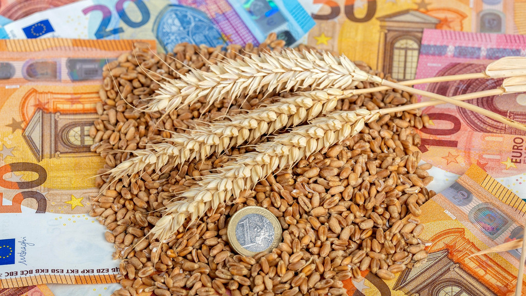 Die Auswirkungen des Ukraine-Krieges auf die Lebensmittelproduktion sind weitreichend. Hohe Energiepreise, Inflation und schlechte Kauflaune bereiten auch den bayerischen Bauern große Sorgen. Wie haben sie das Jahr überstanden?