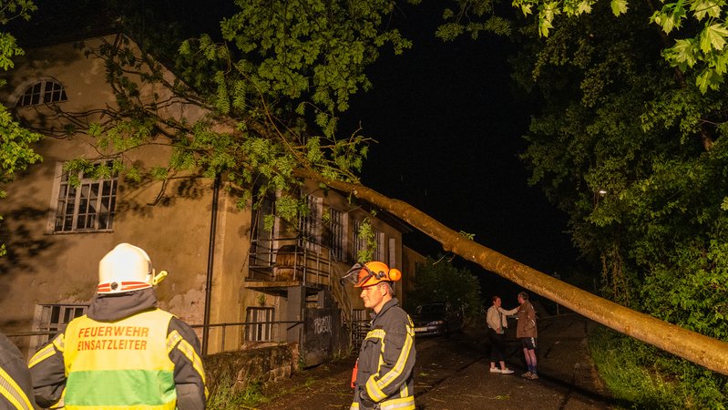 In Marktgraitz (Lkr. Lichtenfels) stürzte ein Baum auf ein Gebäude | Bild: NEWS5 / Ferdinand Merzbach In Marktgraitz (Lkr. Lichtenfels) stürzte ein Baum auf ein Gebäude