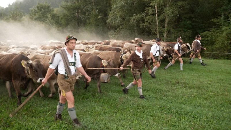 Viehscheid im Allgäu: Alpsommer geht zu Ende | Bild: Bayerischer Rundfunk 2024 Viehscheid im Allgäu: Alpsommer geht zu Ende