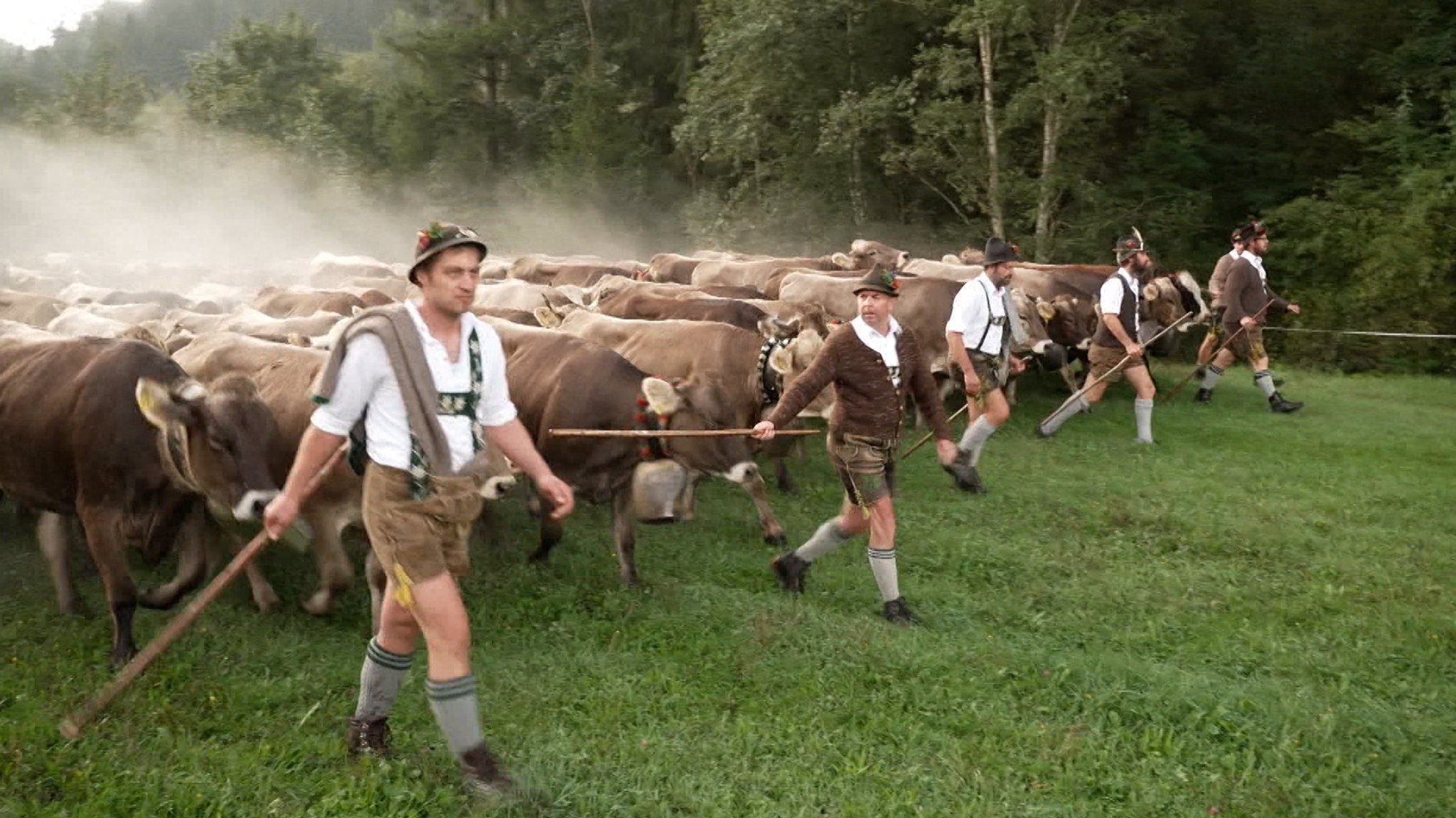 Viehscheid im Allgäu: Alpsommer geht zu Ende