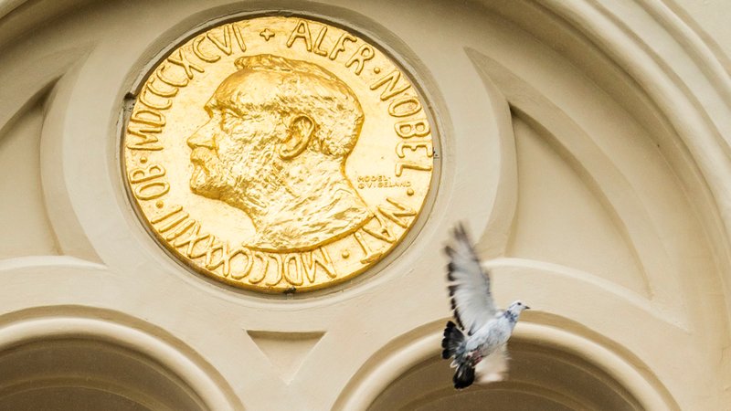 Archivbild: Eine Taube, Symbol des Friedens, wird vom Friedensnobelzentrum anlässlich der Bekanntgabe des Friedensnobelpreises 2021 freigelassen. | Bild: dpa-Bildfunk/Heiko Junge Archivbild: Eine Taube, Symbol des Friedens, wird vom Friedensnobelzentrum anlässlich der Bekanntgabe des Friedensnobelpreises 2021 freigelassen.
