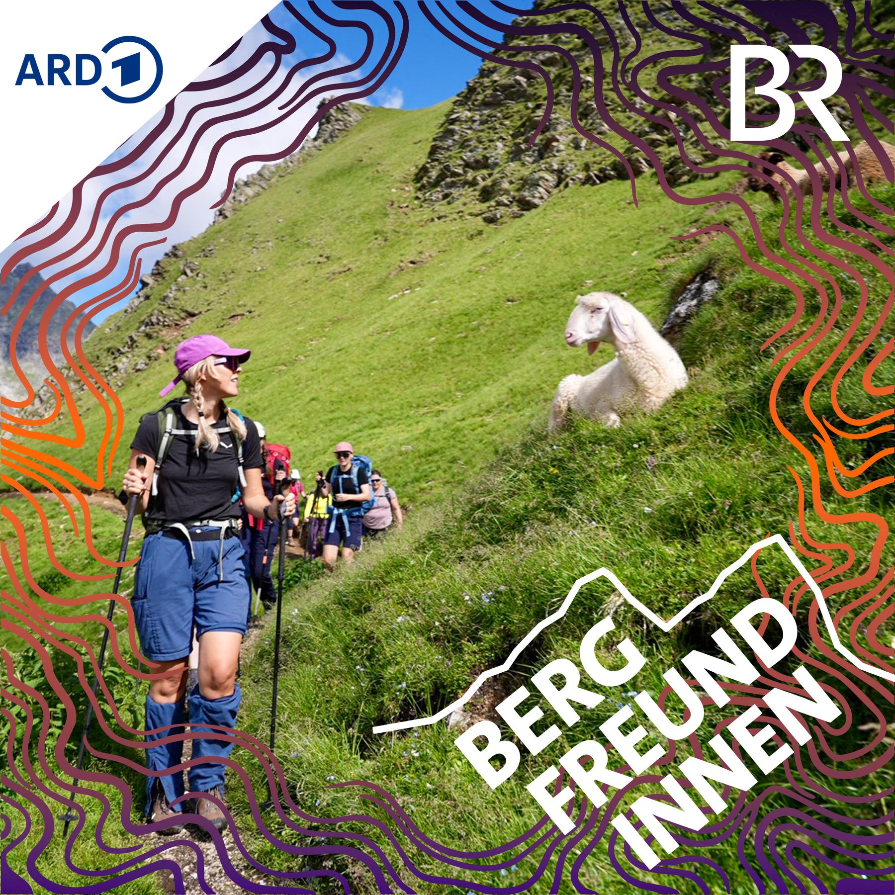 Menstruation am Berg & schwieriger Abstieg ins Gschnitztal  | Alpenüberquerung Hoch Zwei | Tag 5 episode artwork