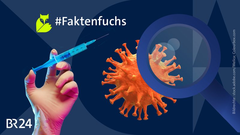 Das Bild ist eine Collage. Links zu sehen ist eine Hand, die eine Spritze hält. Rechts ist eine Grafik eines Corona-Virus unter einer Lupe. | Bild: stock.adobe.com/Melica; Colourbox.com; Collage: BR Das Bild ist eine Collage. Links zu sehen ist eine Hand, die eine Spritze hält. Rechts ist eine Grafik eines Corona-Virus unter einer Lupe.