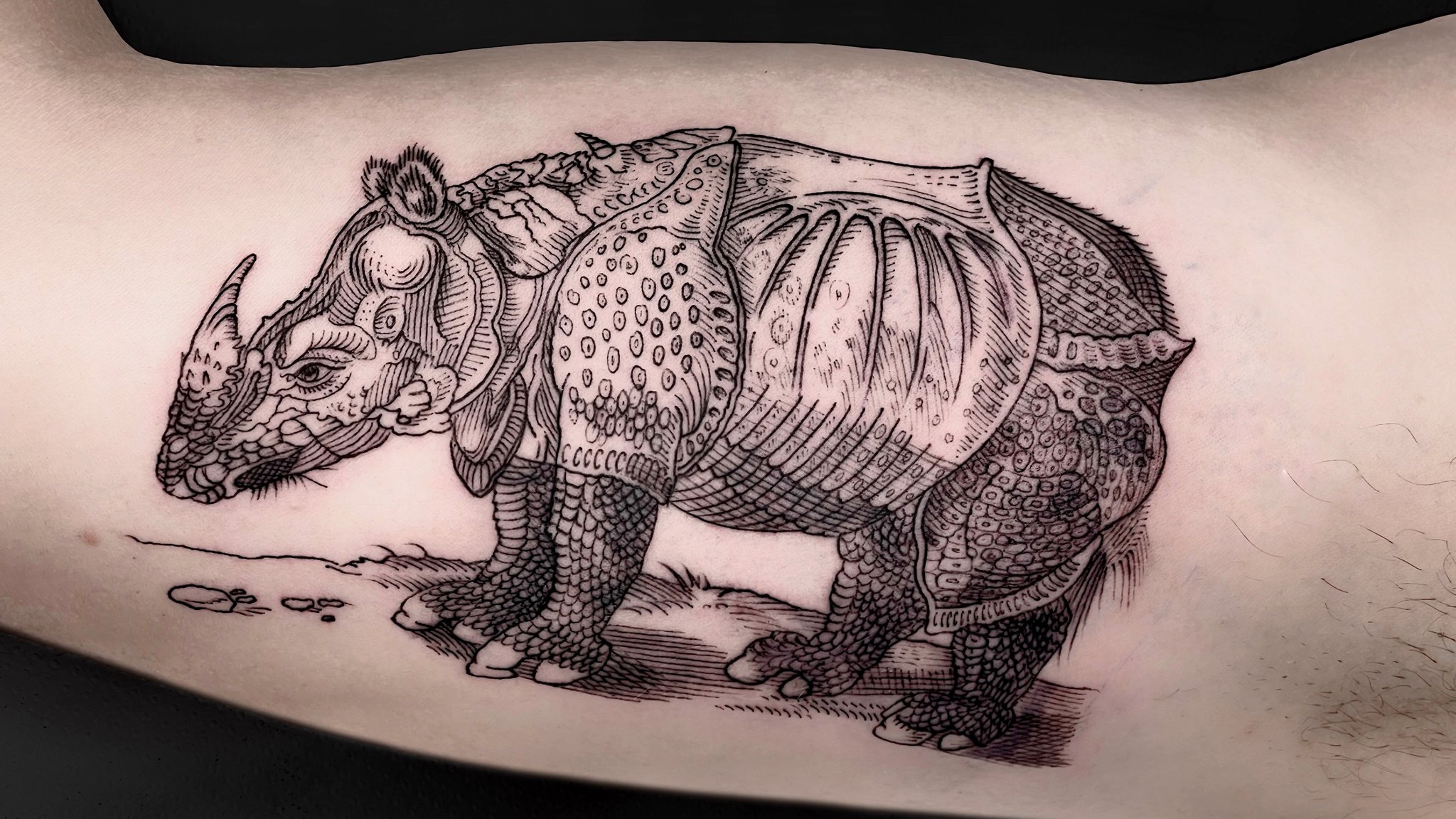 Alejandro M. Sanz Guillén mit Tattoo von LeonKa nach Albrecht Dürers Rhinocerus, 1515.