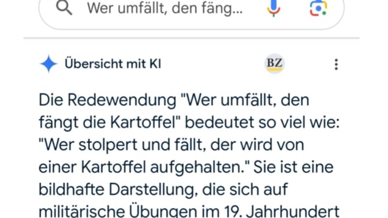 "Wer umfällt, den fängt die Kartoffel": Laut Google eine Redewendung, deren Ursprung in militärischen Übungen im 19. Jahrhundert liegt. | Bild: Screenshot / BR "Wer umfällt, den fängt die Kartoffel": Laut Google eine Redewendung, deren Ursprung in militärischen Übungen im 19. Jahrhundert liegt.