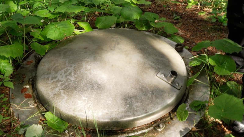 Eine seismologische Station und eine Infraschall-Station sind unter dem Waldboden. | Bild: BR/Laura Wagmann Eine seismologische Station und eine Infraschall-Station sind unter dem Waldboden.