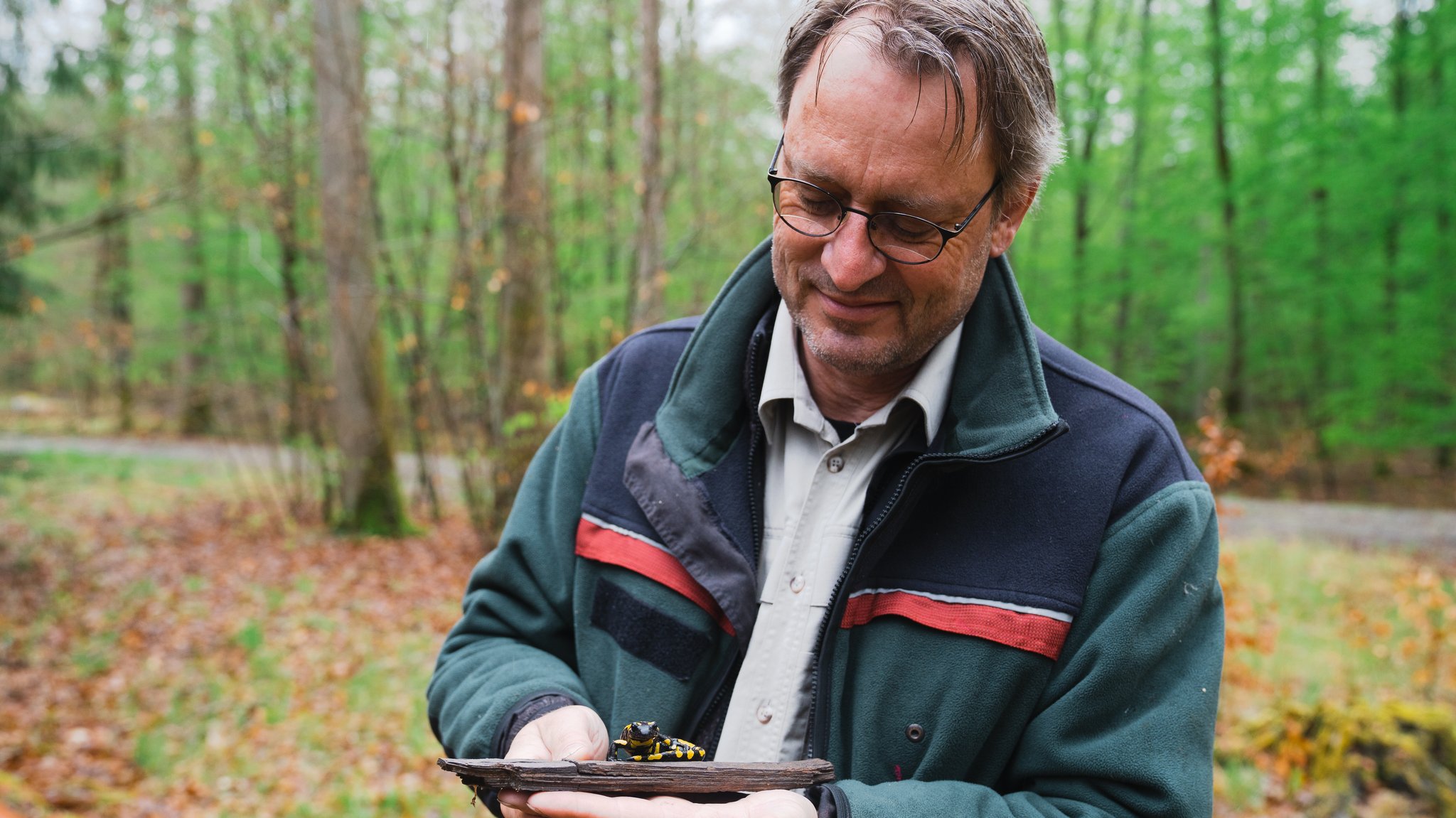 Deutscher Waldpreis: Steinfeld gleich doppelt nominiert