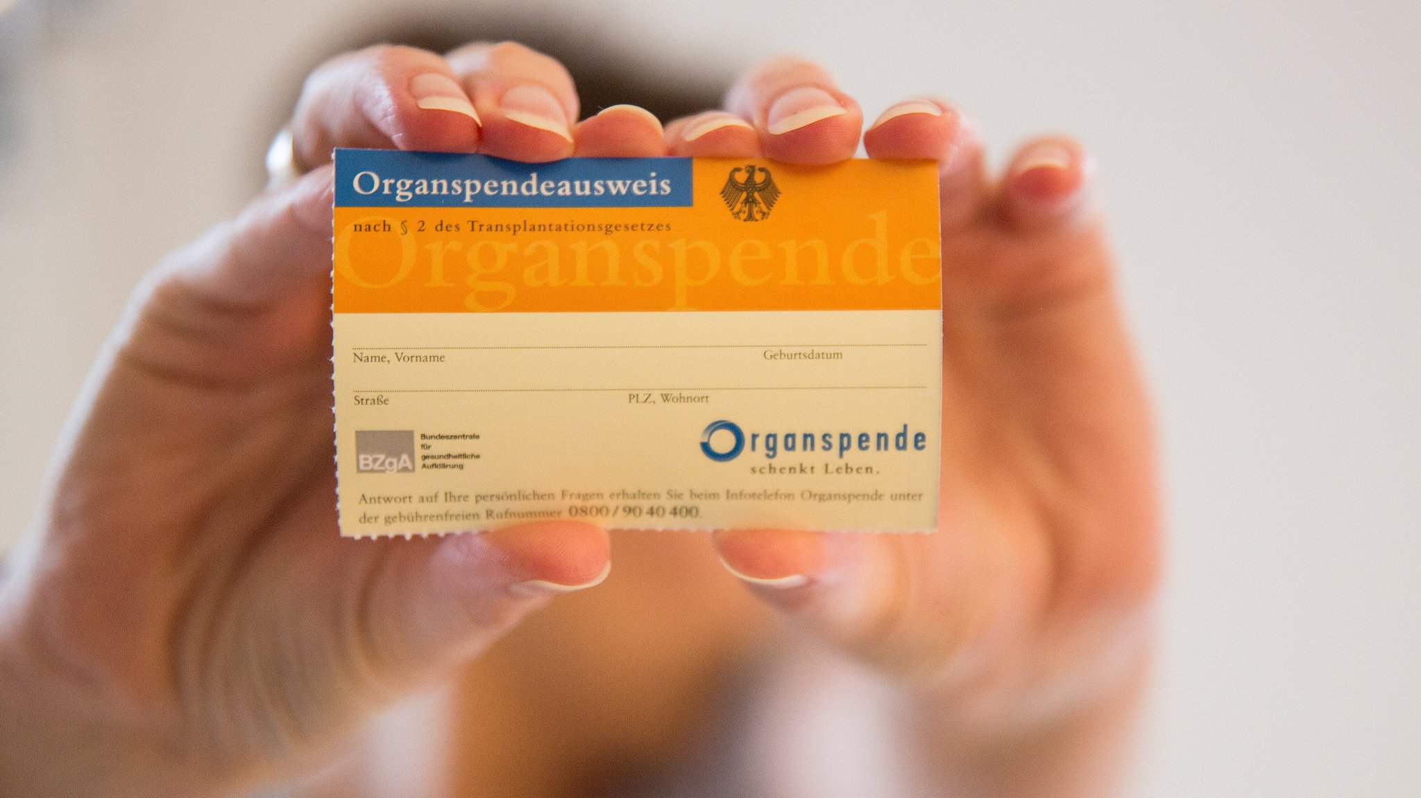 Hände halten einen Organspendeausweis in die Kamera | Bild: picture alliance / Fotostand | Fotostand / K. Schmitt Hände halten einen Organspendeausweis in die Kamera