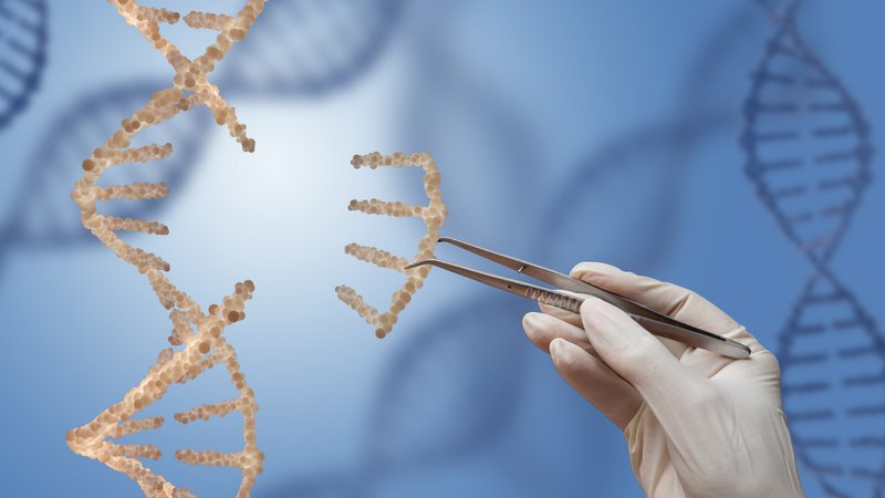 Genschere Crispr/Cas9 - Symbolbild mit DNA-Strängen