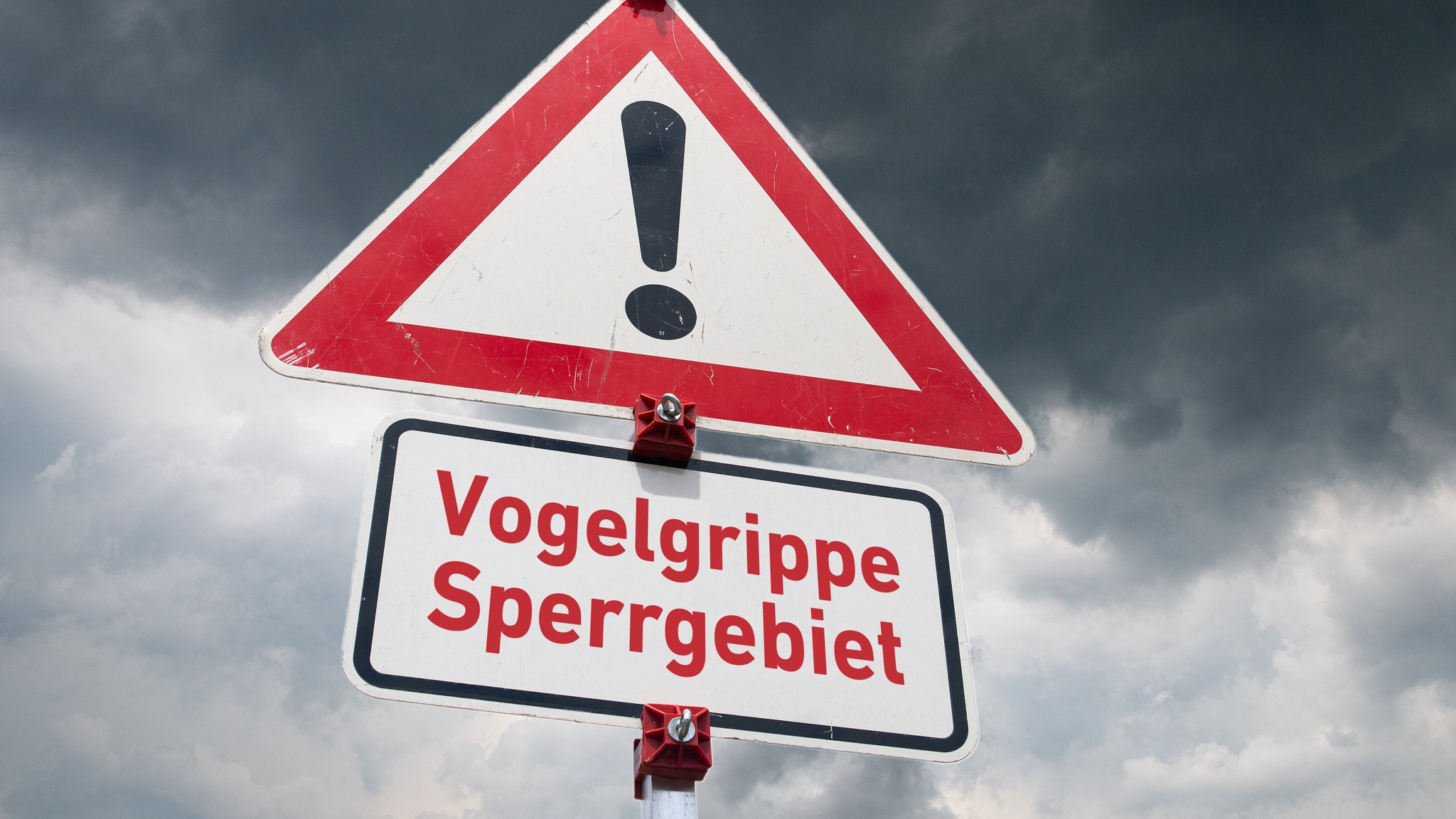 Warnschild vor Vogelgrippe