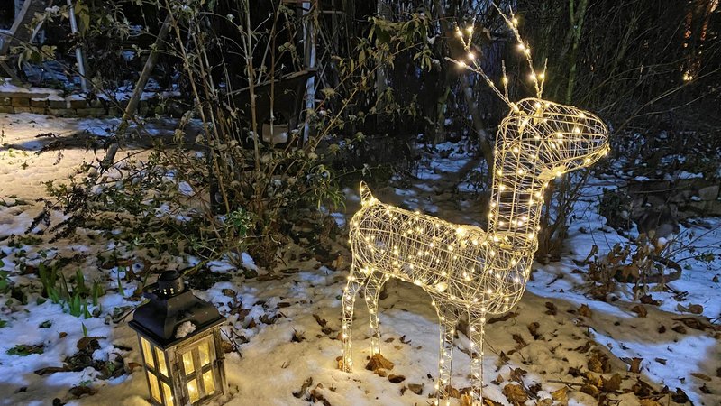 Beleuchtetes Rentier im Garten | Bild: Picture Alliance/dpa Beleuchtetes Rentier im Garten