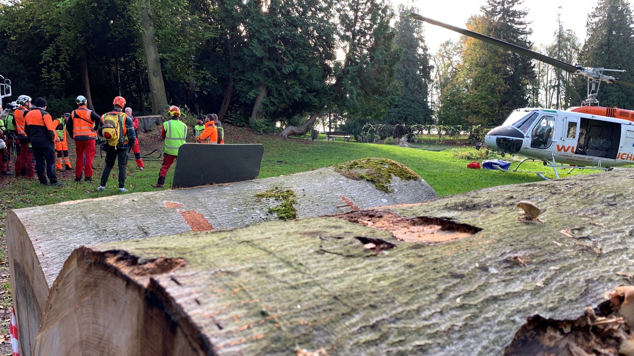 Baumfällarbeiten im Lindauer Lindenhofpark