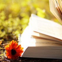 Bayern lesen. Ein bayerisches Büchermagazin | Bild: colourbox