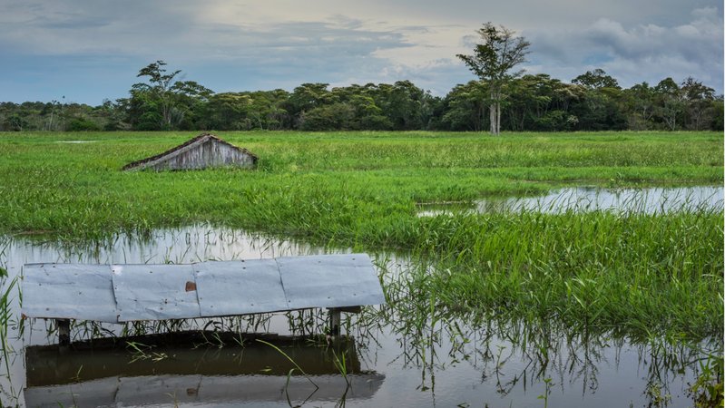 Überschwemmte Felder und Hütten am Solimoes Fluss - Amazonas. El Niño und La Niña bringen das Wetter entlang des tropischen Pazifiks durcheinander. Weil sich Luft- und Meeresströmungen ändern, kommt es weltweit zu Extremwetterlagen. | Bild: Getty Images/Wochit Überschwemmte Felder und Hütten am Solimoes Fluss - Amazonas. El Niño und La Niña bringen das Wetter entlang des tropischen Pazifiks durcheinander. Weil sich Luft- und Meeresströmungen ändern, kommt es weltweit zu Extremwetterlagen.