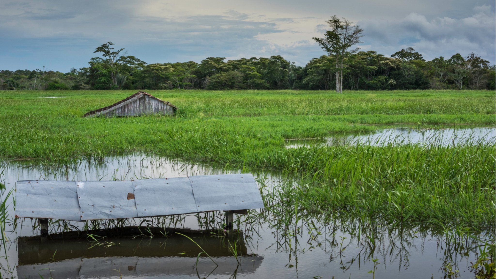 Überschwemmte Felder und Hütten am Solimoes Fluss - Amazonas. El Niño und La Niña bringen das Wetter entlang des tropischen Pazifiks durcheinander. Weil sich Luft- und Meeresströmungen ändern, kommt es weltweit zu Extremwetterlagen. 