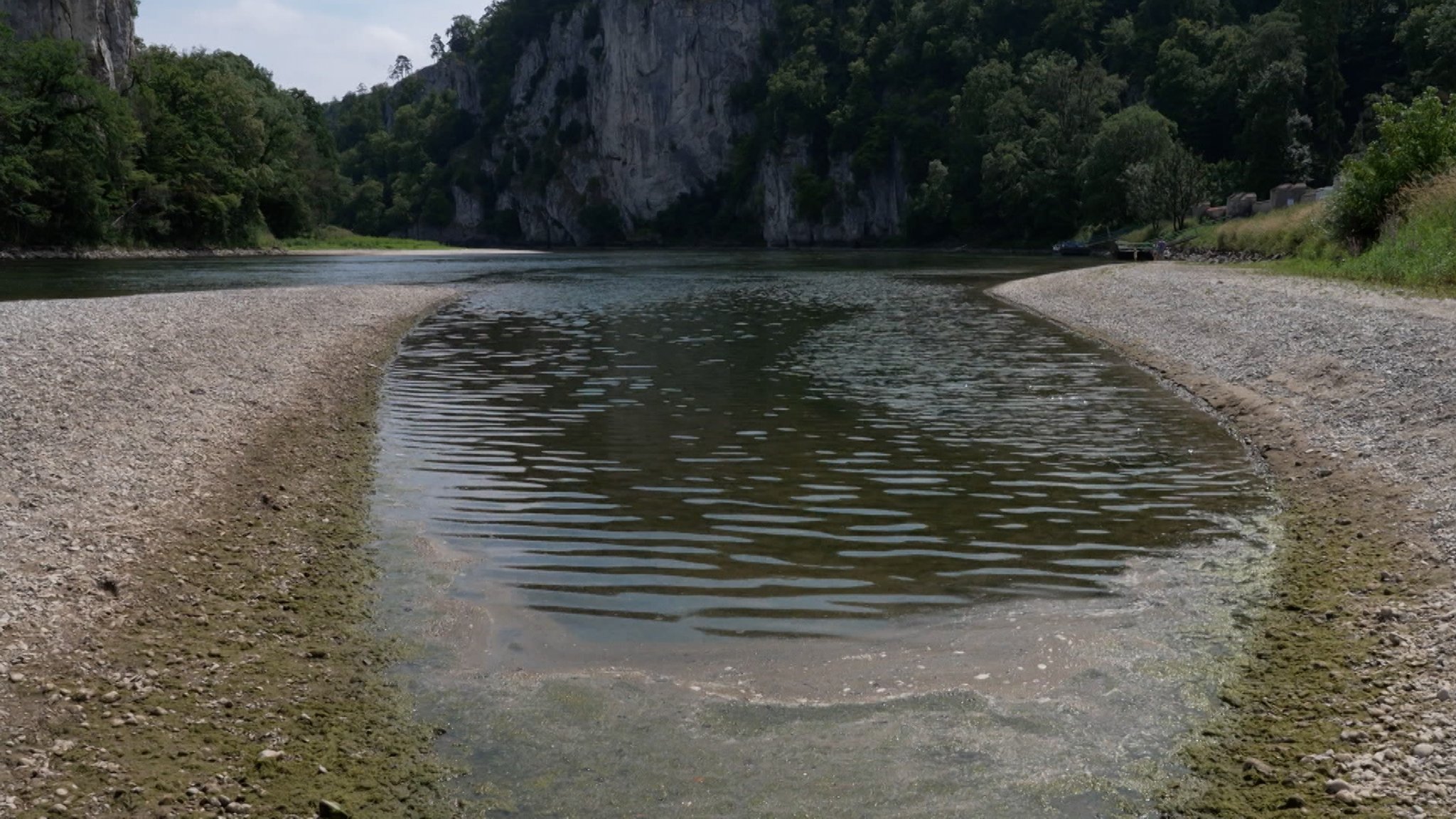 Blick auf die Donau bei Kelheim, wo einer der erkrankten Hunde gebadet haben soll
