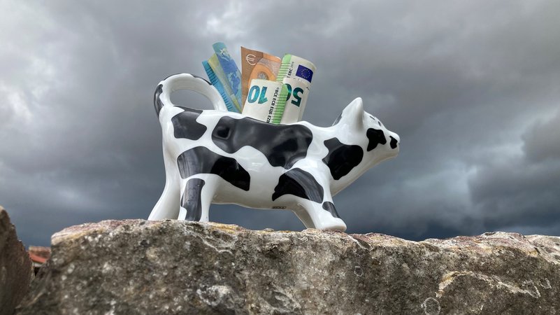 (Symbolbild) Eine Keramikkuh, die mit Geldscheinen befüllt vor grauen Wolken steht. | Bild: BR/Christine Schneider (Symbolbild) Eine Keramikkuh, die mit Geldscheinen befüllt vor grauen Wolken steht.