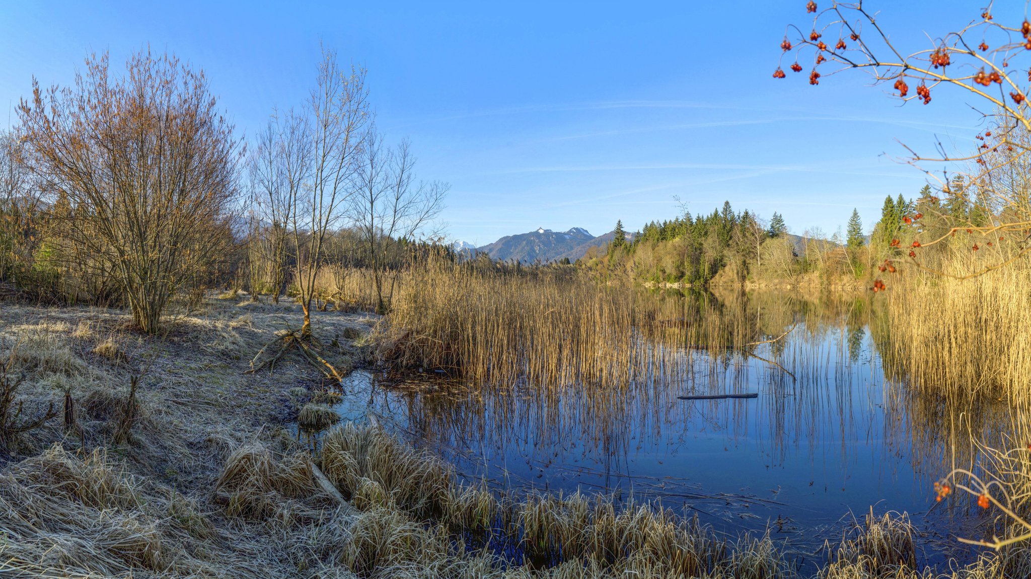 Murnauer Moos mit Blick auf den Laber und Ettaler Manndl