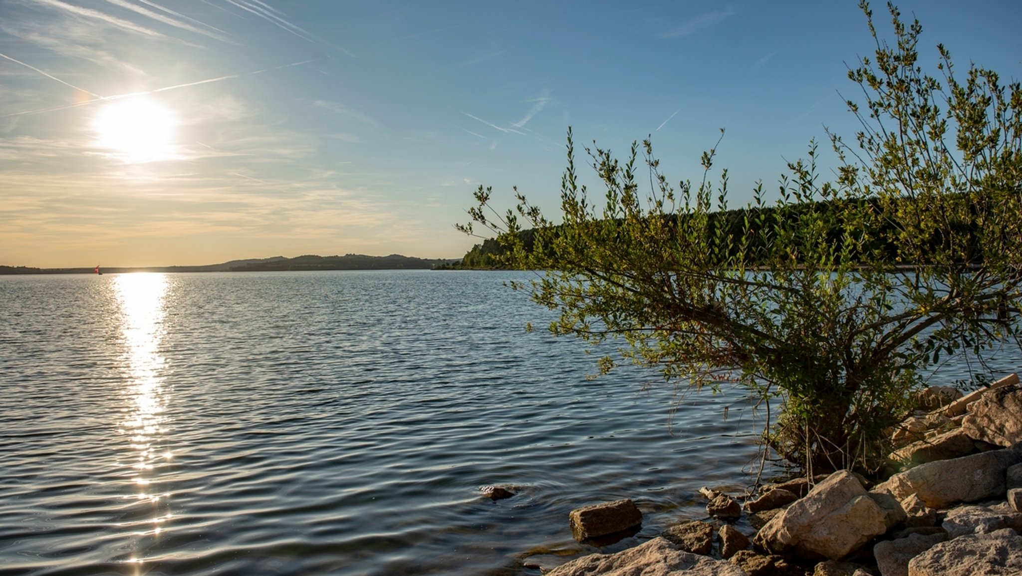 Am Ufer des Großen Brombachsees im fränkischen Seenland.