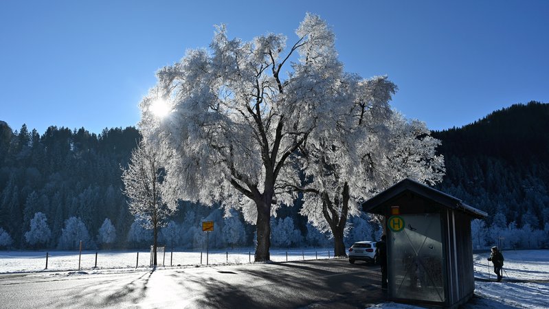 Winterlandschaft bei Füssen im Allgäu | Bild: picture alliance / M.i.S. | Rudi Fischer Winterlandschaft bei Füssen im Allgäu