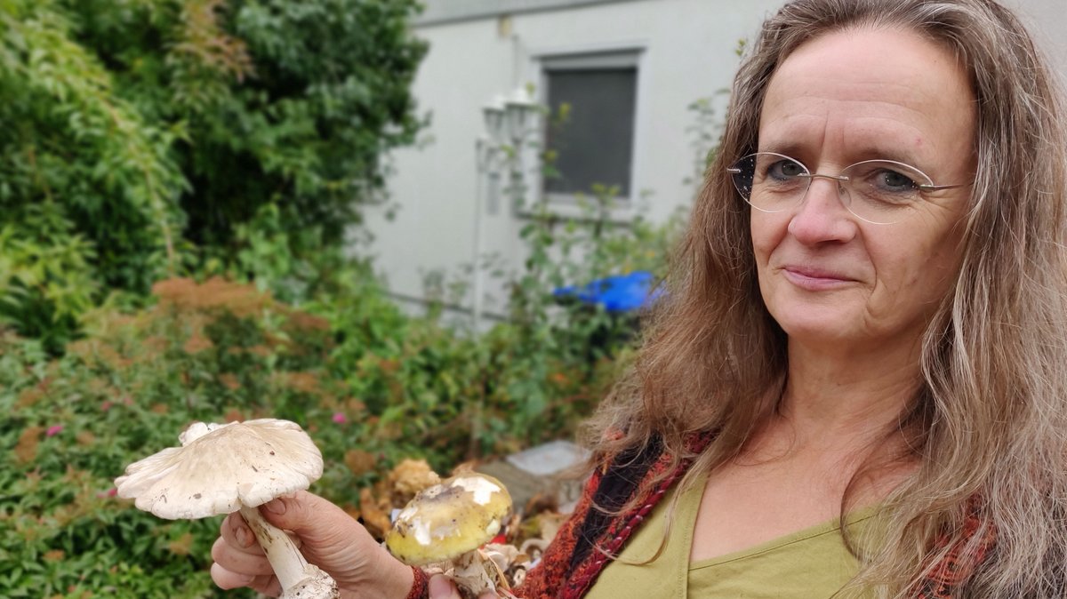 "In die Pilze": Beraterin warnt vor giftigen Exemplaren