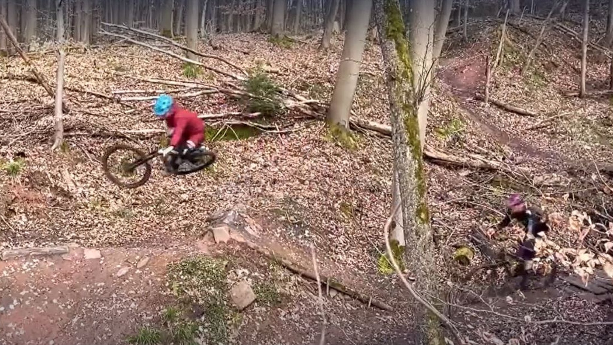 Mountainbiker im Spessart.