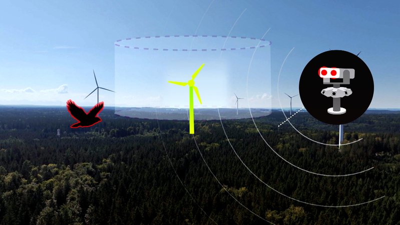 Grafik Mit Technik Vögel schützen | Bild: Bayerischer Rundfunk; Montage: BR Grafik Mit Technik Vögel schützen