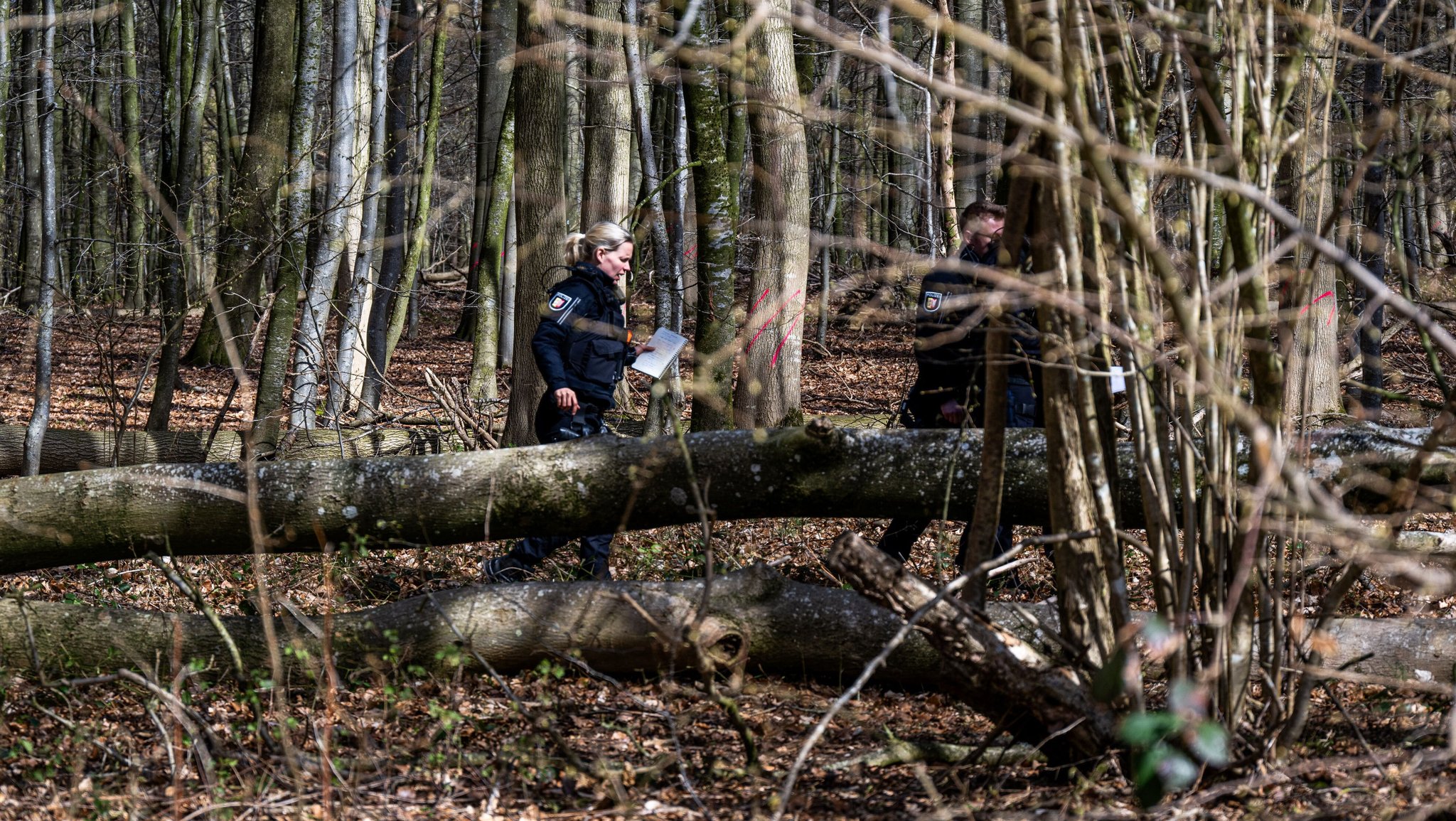 Baum stürzt um: Drei Tote bei Ostereier-Suche nahe Flensburg