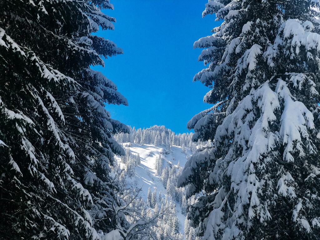 Schneelandschaft im Allgäu.
