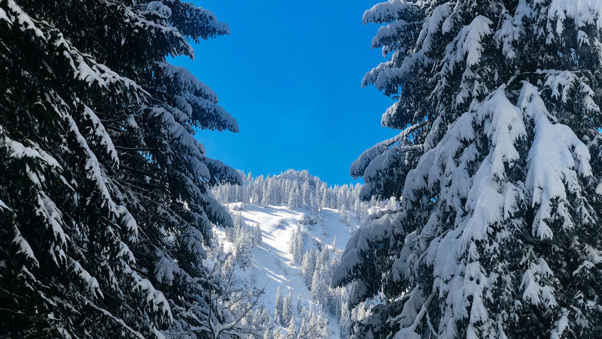 Schneelandschaft im Allgäu.