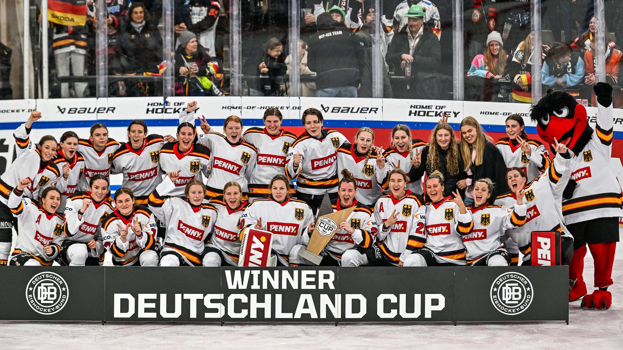 "Größte Baustelle": Unsichere Zukunft des Frauen-Eishockeys