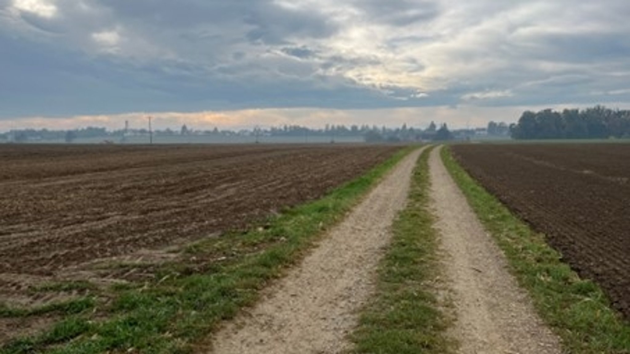 Um diesen Fußweg, der auch eine Straße quert, geht es.