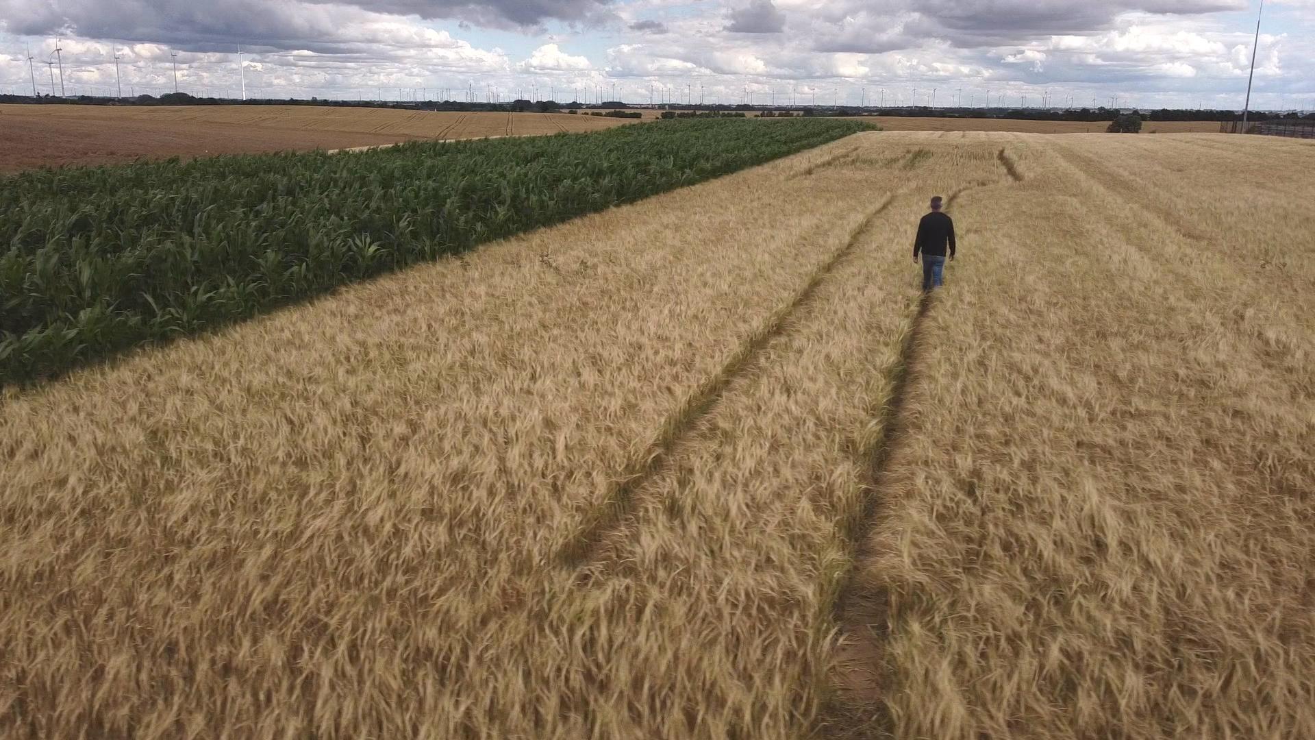 Landwirtschaft: Nachrichten, Infos, Entwicklungen | BR24