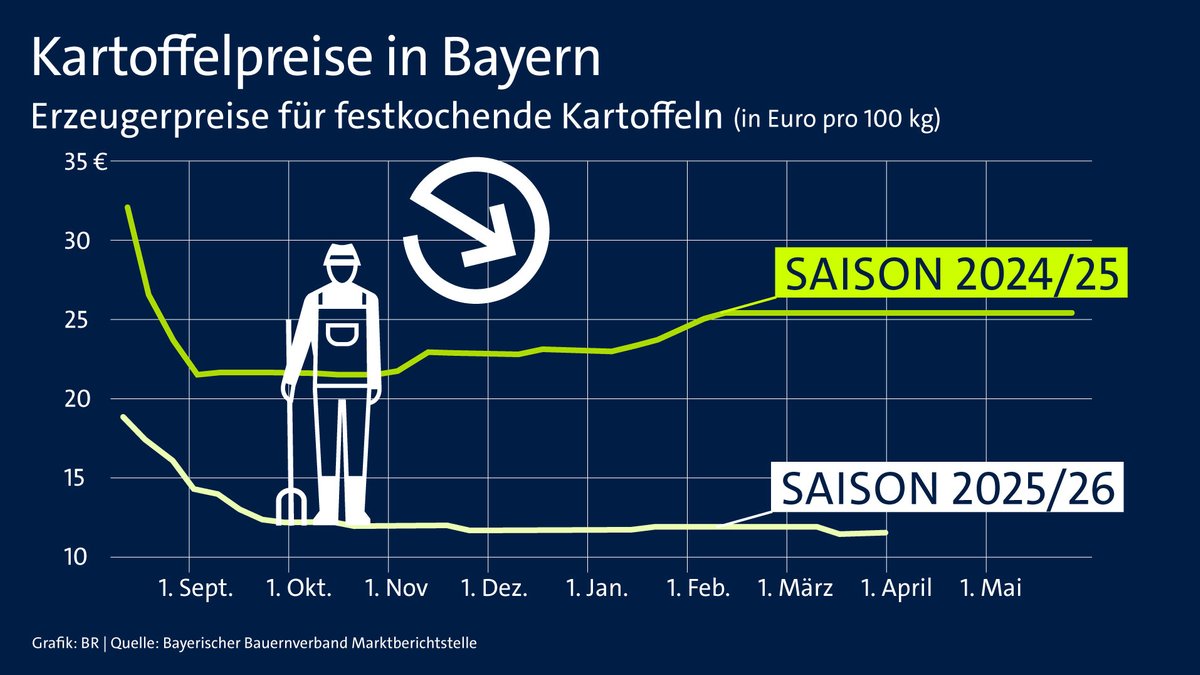 Zwei Graphen zeigen die Entwicklung der Kartoffelpreise der letzten beiden Saisons. 