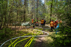 02.05.2025: Da immer wieder Glutnester im seit Mittwoch brennenden Tennenloher Forst aufflammen, hat das Landratsamt Erlangen-Höchstadt den Katastrophenfall ausgerufen. | Bild:News5
