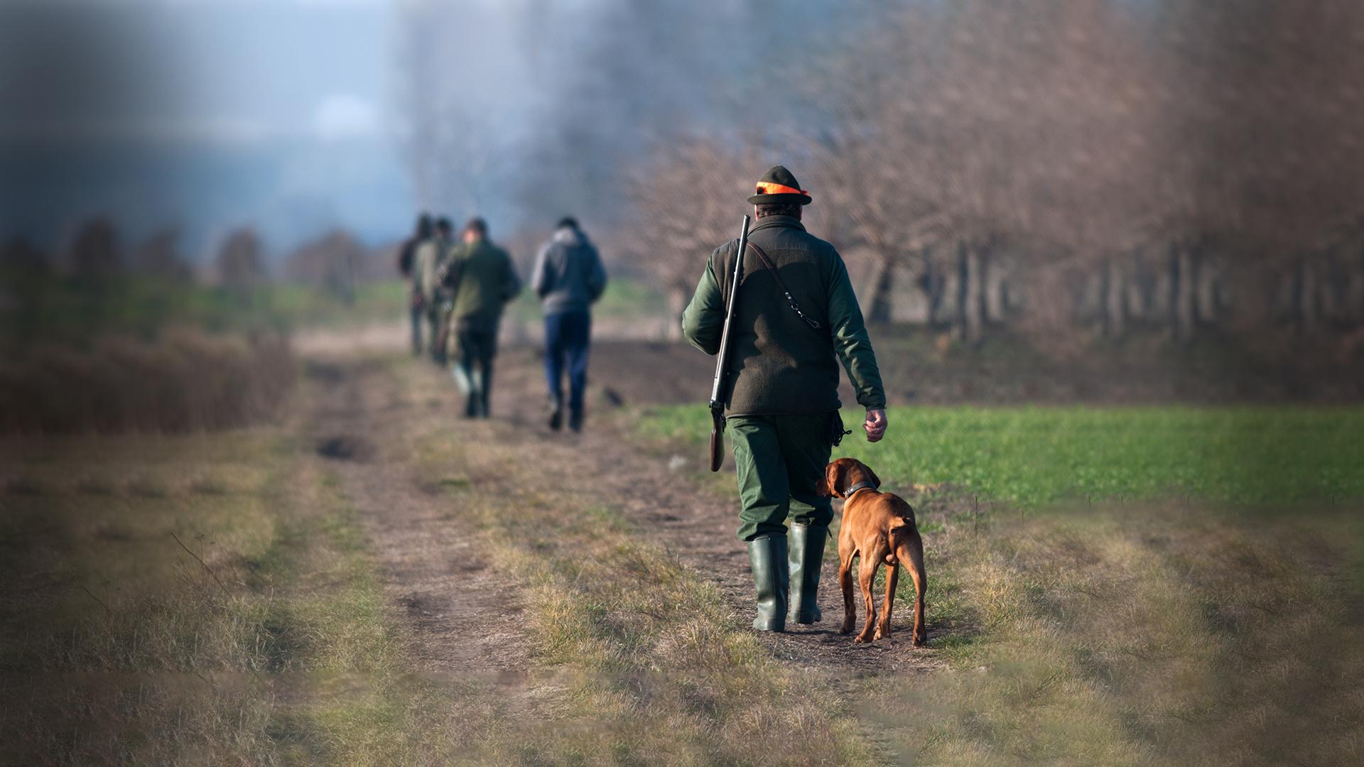  Ein weiterer Punkt war der andauernde Konflikt zwischen Waldbesitzern und Jägern: Die einen fordern höhere, die anderen geringere Abschussquoten von Rotwild.