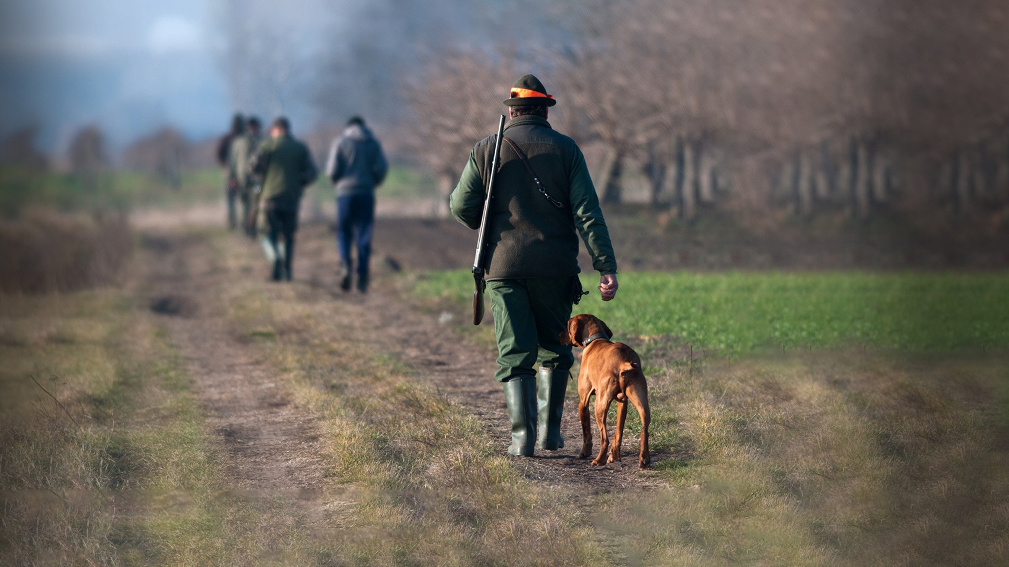  Ein weiterer Punkt war der andauernde Konflikt zwischen Waldbesitzern und Jägern: Die einen fordern höhere, die anderen geringere Abschussquoten von Rotwild.