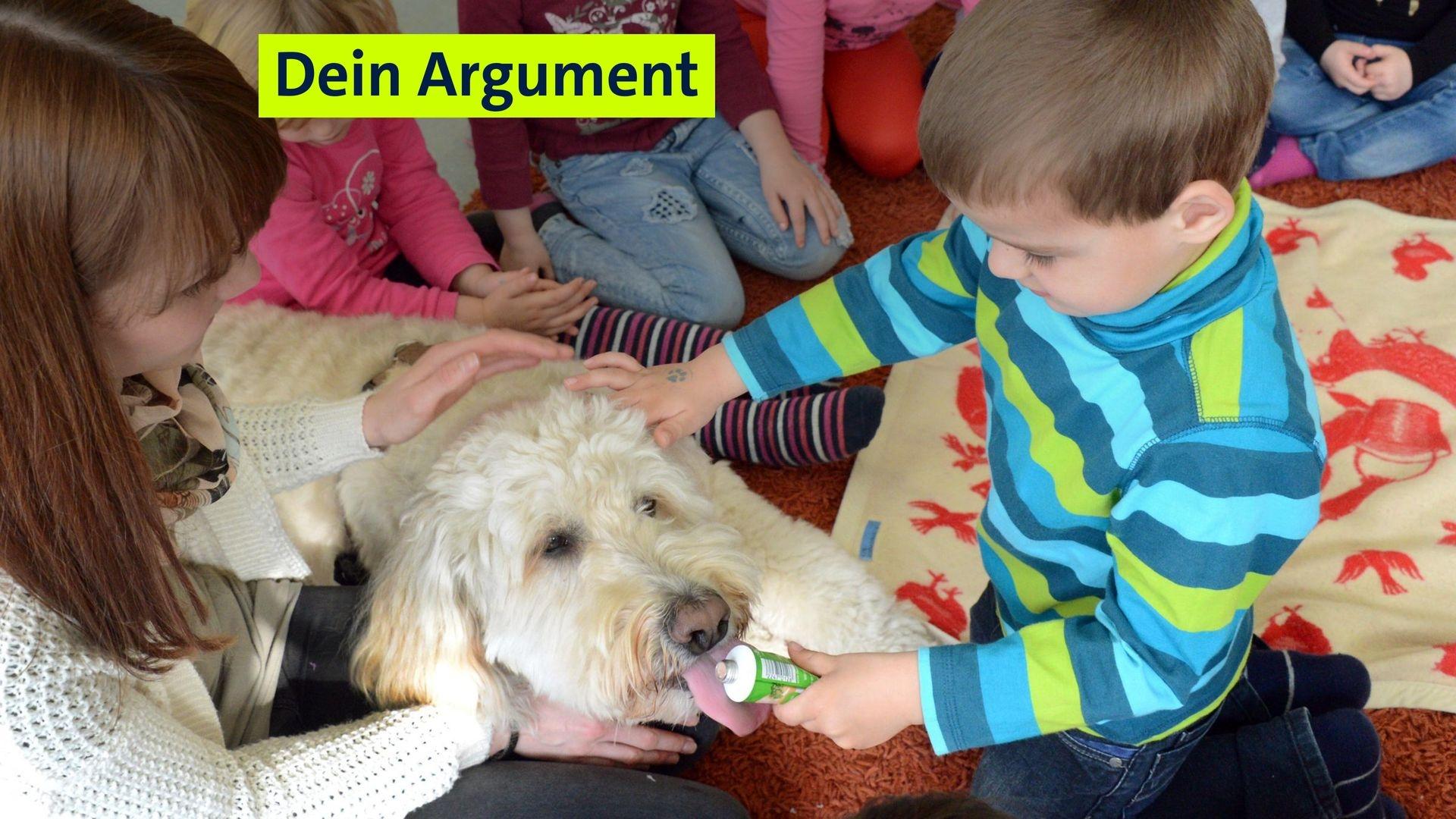 Ein Hund wird in einem Kindergarten von Kindern gefüttert. (Symbolbild)