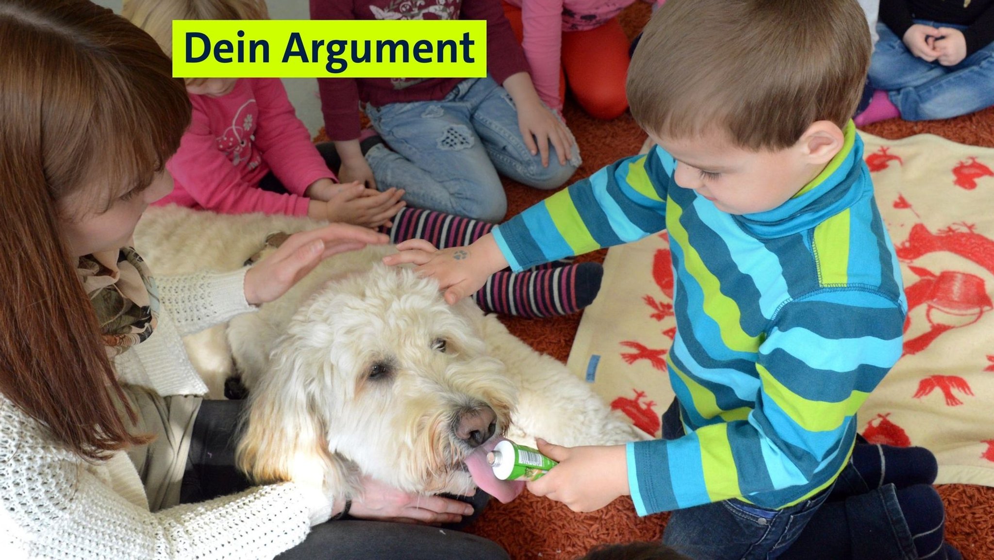 Tierisches Ehrenamt: So wird der Vierbeiner zum Besuchshund