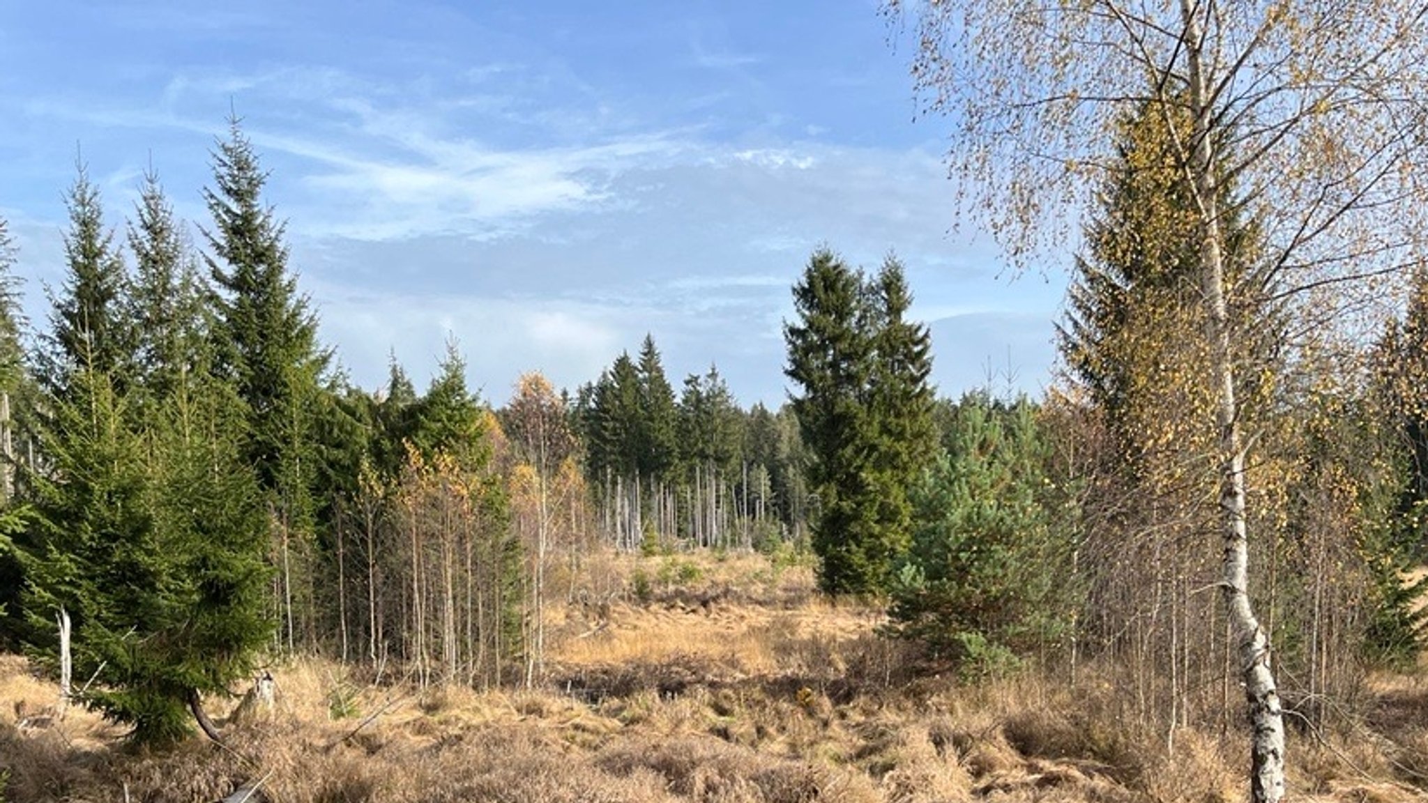 Nationalpark Bayerischer Wald