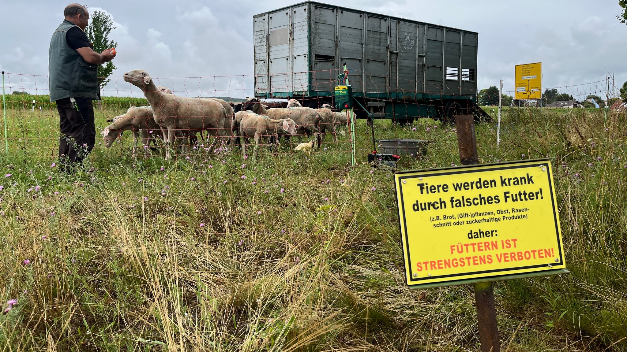 Schafhalter Uwe Rinker steht bei seinen Tieren auf der Weide. Im Vordergrund ein Schild mit der Aufschrift: "Tiere werden krank durch falsches Futter." | Bild: BR/Tobias Hildenbrandt Schafhalter Uwe Rinker steht bei seinen Tieren auf der Weide. Im Vordergrund ein Schild mit der Aufschrift: "Tiere werden krank durch falsches Futter."