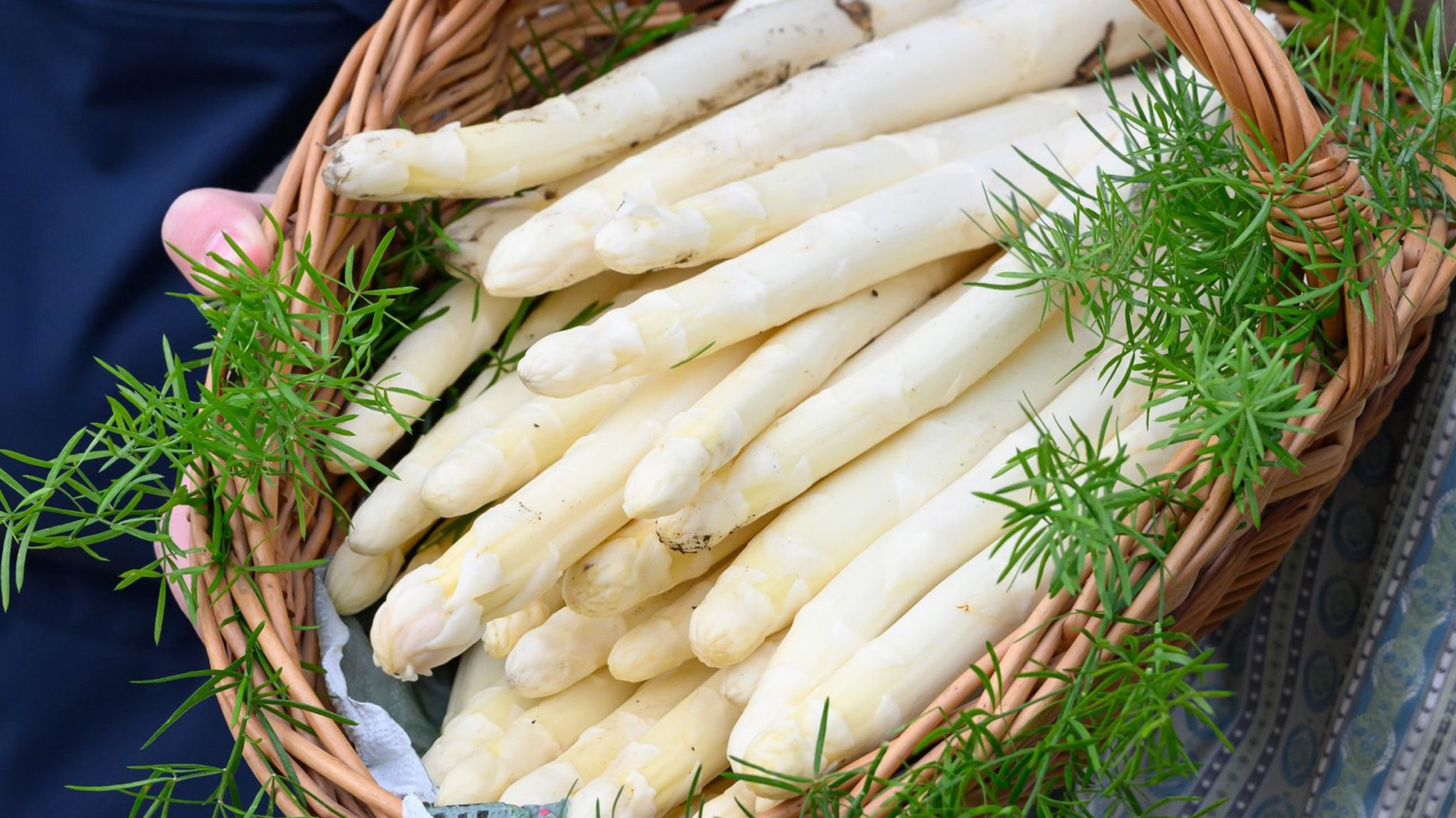 Frisch geernteter deutscher Spargel in einem geflochtenen Korb. 