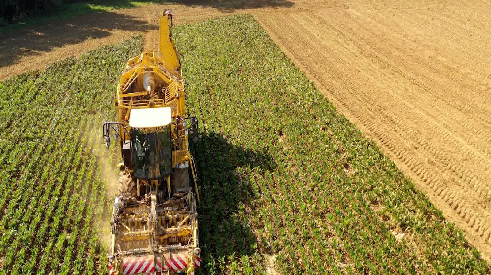 Geplantes BMW-Werk in Niederbayern: Konkurrenz um Flächen?